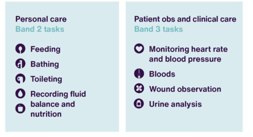 This image explains what Band 2 tasks are (feeding, bathing, toileting, recording fluid balance and nutrition), and compares them with Band 3 tasks (monitoring heart rate and blood pressure, bloods, wound observation, urine analysis)