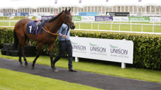 Doncaster racecourse photo of horse